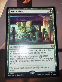 Ninja Pizza Commander: Teenage Mutant Ninja Turtles Regular - Image 1