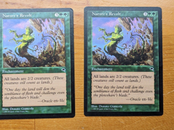 MTG Mirage/Tempest Lot of 18 cards, see description for list and cond. - Image 4
