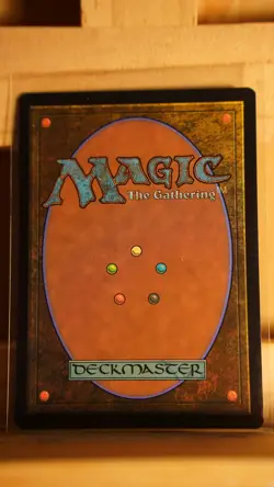 Lorien Revealed - NM - Lord of the Rings - MTG - Image 2