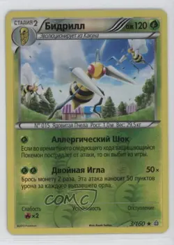 Beedrill Russian Reverse Foil Pokemon XY Primal Clash #3 - Image 1