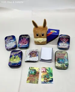 Pokemon Lot Custom Metal Cards, Tins, Eevee Plush, Deck Box See Photos - Image 1