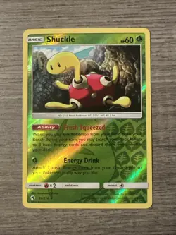Shuckle 16/214 Sm-Lost Thunder Reverse Holo NM Pokemon TCG - Image 1