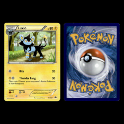 6x Luxray Lot Luxio Shinx 48.0 Sword Shield Battle Styles Pokemon Cards Set TCG - Image 5