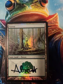 MTG Forest (303) - Champions of Kamigawa Foil - Signed By Artist, LP - Image 1