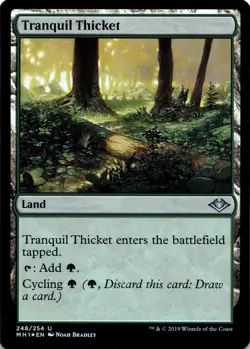 Tranquil Thicket Foil - Modern Horizons - 248 NM - Image 2