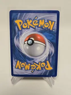 Moderately Played Chespin - 2/12 - McDonald's Promo 2014 Pokemon McDonald's Prom - Image 3