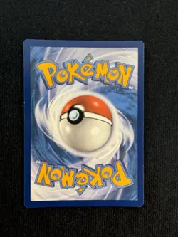 Bidoof GG29/GG70 Crown Zenith: Galarian Gallery Holo Pokemon TCG (NM) - Image 2