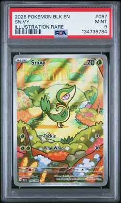 Snivy Illustration Rare Holo PSA 9 MINT (2025) Pokemon Black Bolt 087/086 - Image 1