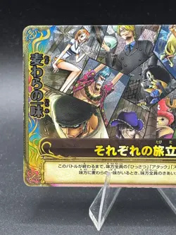 Straw Hat Pirates S037-W GR One Piece One Py Berry Match W - Image 2