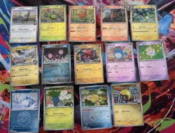 Pokemon Lot of 14 Ascended Heroes Cards - Special Holos - Pack Fresh - Image 1