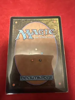 Fierce Guardianship (Showcase) Avatar: The Last Airbender: Eternal-Legal Regular - Image 2