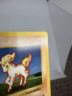 Ponyta - 1st Edition Base Set Shadowless 60/102 1999 Pokemon Card MT / GM - Image 3
