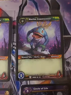 World of Warcraft (WoW) TCG cards - 12 cards lot - list in description - Image 5