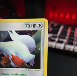 Zangoose 14/100 Holo Rare Pokemon Sandstorm - Lightly Played - Image 3