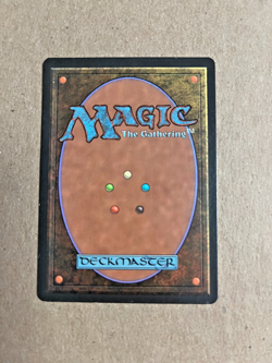 MTG Alliances Pillage - Image 2