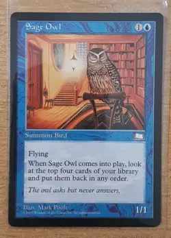 1997 MAGIC THE GATHERING WEATHERLIGHT SAGE OWL TD25 - Image 1