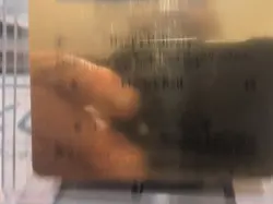 Pokemon TCG Special Delivery Pikachu SWSH Black Star Promo SWSH074 Holo Promo - Image 3