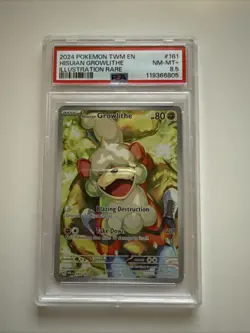 2024 TWM EN Pokemon Hisuian Growlithe Illustration Rare Card #181 NM-MT+ 8.5 - Image 1