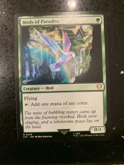 Birds of Paradise - 0235 LTC MTG - Rare N/M - Food & Fellowship - Image 1