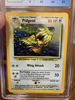 1999 Pokemon - Pidgeot Holo-Rare NO SYMBOL - Jungle 8/64 - CGC 8.5 NM-MT+!! - Image 3