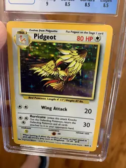 1999 Pokemon - Pidgeot Holo-Rare NO SYMBOL - Jungle 8/64 - CGC 8.5 NM-MT+!! - Image 5