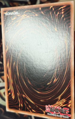 Yugioh:Red-Eyes Toon Dragon - SHVI-EN036 - Super Rare - 1st Edition - LP - Image 4