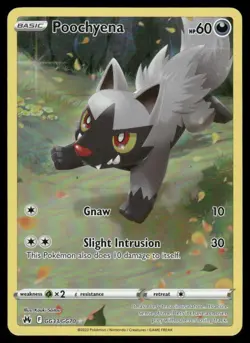 Pokemon Cards Poochyena GG33/GG70 Crown Zenith Galarian Gallery Holo NM *3 - Image 1