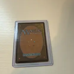 MTG Elusive Otter (Showcase) Wilds of Eldraine Regular - Image 2