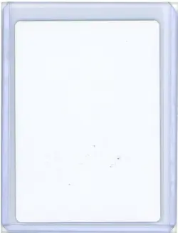 Swamp Signed Artist Proof MTG - Image 2