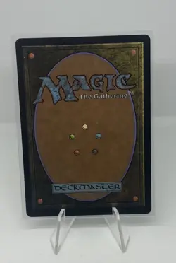 Ajani, Outland Chaperone [New, Near Mint] Borderless Art {Lorwyn Eclipsed} - Image 2