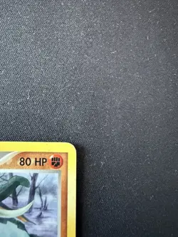 Donphan 17/109 Pokemon Card TCG Ruby and Sapphire Non Holo Rare - Image 4