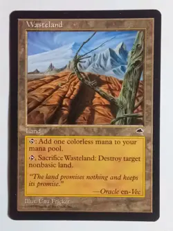 Wasteland Tempest NM x1 MTG Magic the Gathering Card - Image 1