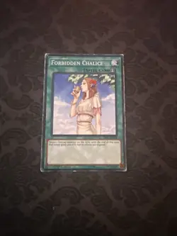 Forbidden Chalice - SDPL-EN024 - Common - 1st Edition YuGiOh - Image 1