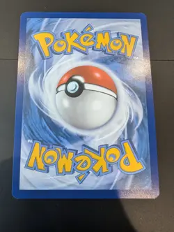 Torterra EX 12/162 Double Rare Temporal Forces Pokemon TCG Scarlet Violet - Image 2