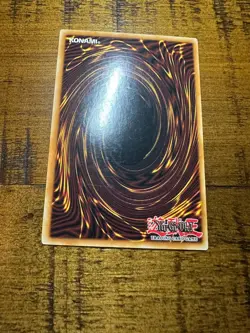 Thunder Dragon DLG1-EN041 Unlimited Edition Common PL + BONUS - Image 2