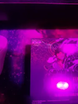 Op-10 Sealed English Box One Piece Royal Blood - Image 2