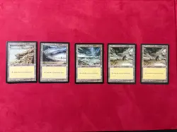 5 X Tempest Plains Land Lot - Magic The Gathering MTG Vintage TMP - Image 1