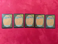 5 X Tempest Plains Land Lot - Magic The Gathering MTG Vintage TMP - Image 2