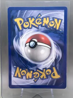 Dark Gyarados 8/82 Holo Team Rocket Prerelease Promo Pokemon Card - NM - Image 2