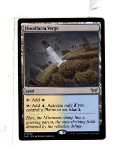 MTG SkeenAB Floodfarm Verge from DSK. NM. - Image 1