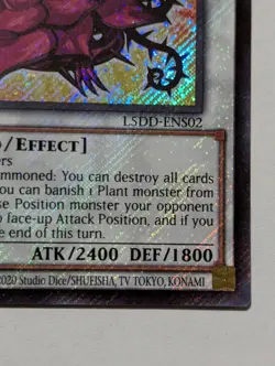 Yugioh! Black Rose Dragon L5DD-ENS02 Secret Rare 1st Edition Mint Condition - Image 2