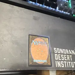 Magic: The Gathering Splinter of the Shadows Legendary Creature Shadow Swarm M0… - Image 2