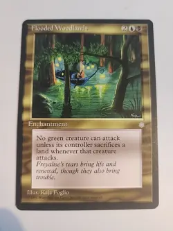 Flooded Woodlands Ice Age - Image 1