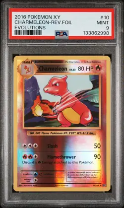 2016 POKEMON XY EVOLUTIONS #10 CHARMELEON-REVERSE FOIL PSA 9 - Image 1