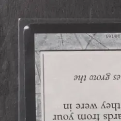 2004 MAGIC: THE GATHERING FIFTH DAWN #114 CRUCIBLE OF WORLDS - Image 3