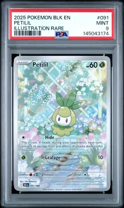 2025 POKEMON BLK EN-BLACK BOLT ILLUSTRATION RARE #091 PETILIL PSA 9 - Image 1
