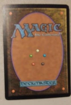 Plague of Vermin. FOIL Shadowmoor. Near Mint. Black Rare. Free Shipping - Image 2