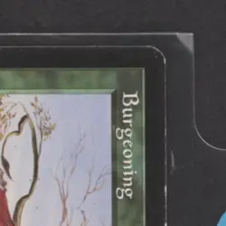 1998 MAGIC: THE GATHERING STRONGHOLD BURGEONING - Image 5