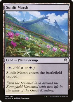 SUNLIT MARSH X 4 N/M DOMINARIA UNITED MTG - Image 1