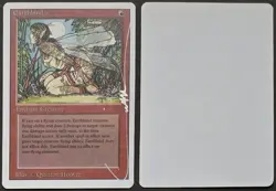 Signed MtG Magic Quinton Hoover Artist Proof _ Revised _ EARTHBIND _ 1/100! - Image 1